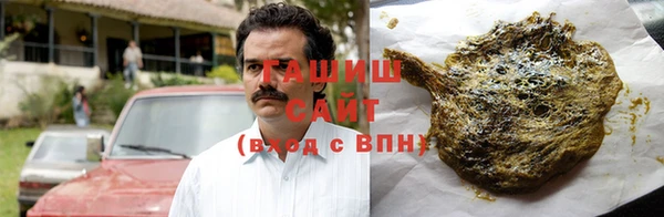 спиды Богородицк