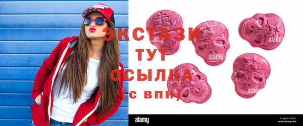 спиды Богородицк