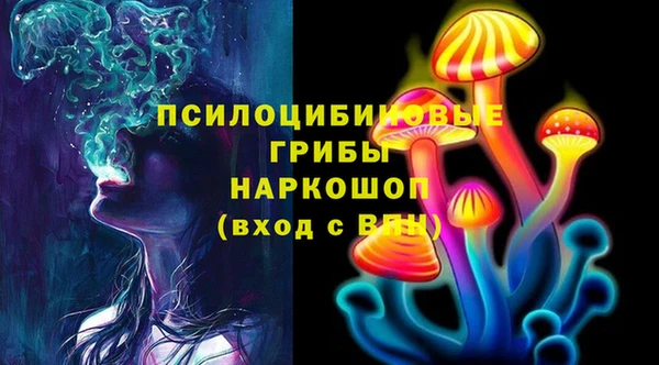 спиды Богородицк