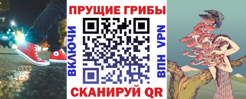 Галлюциногенные грибы Cubensis  Бугульма 